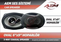 AEM SOUND OVAL HOPARLÖR 6X9 ''