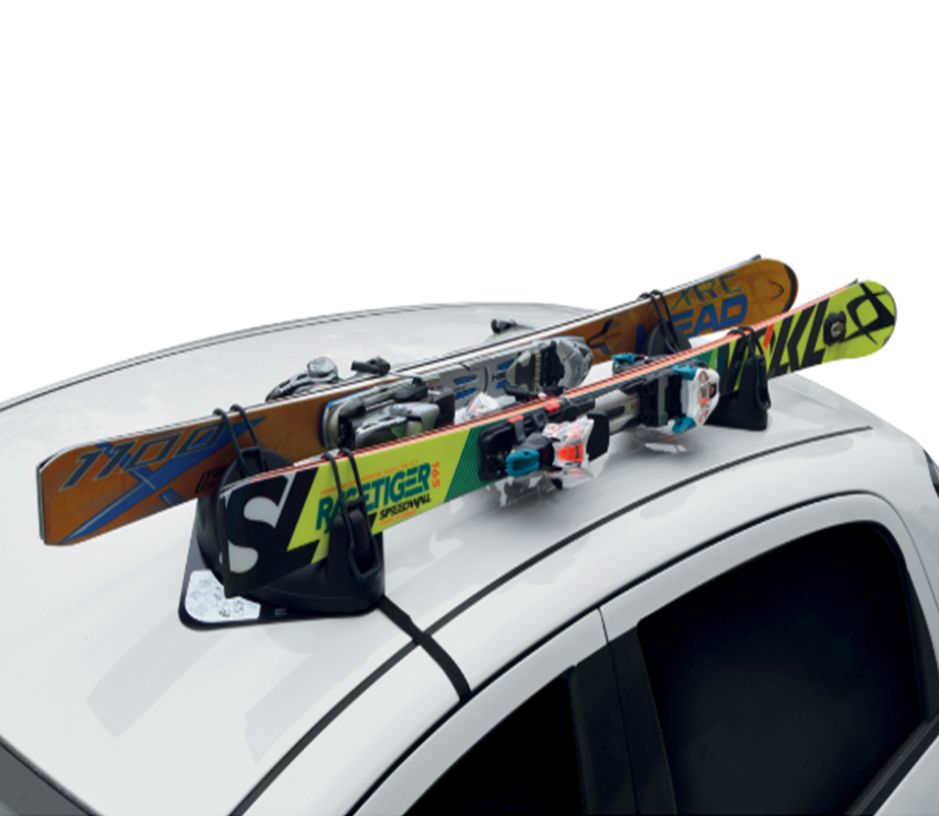 Araç üstü kayak bagajı igloo mıknatıslı 2li sybg440